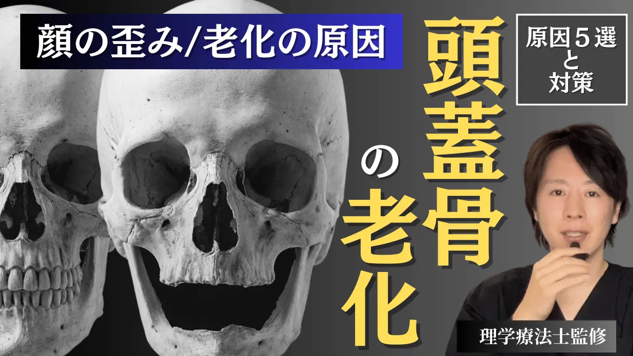顔の歪みは“頭蓋骨の老化”が原因？