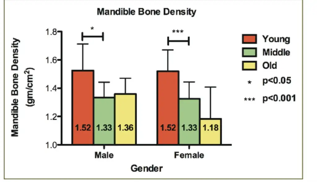 頭蓋骨の年齢・加齢による変化（研究データ）