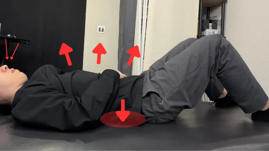 姿勢エクササイズ（腹式呼吸）吸気