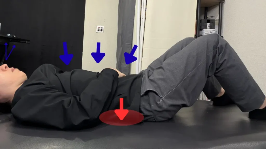 姿勢エクササイズ（腹式呼吸）呼気